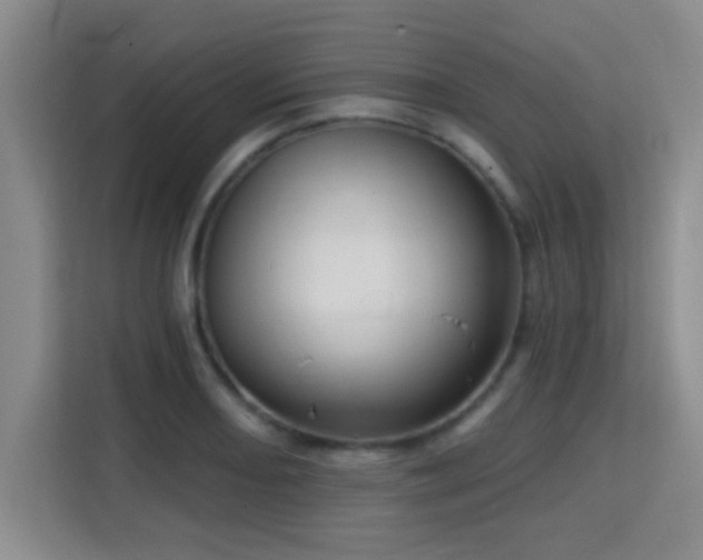 X0000115731082200911191407