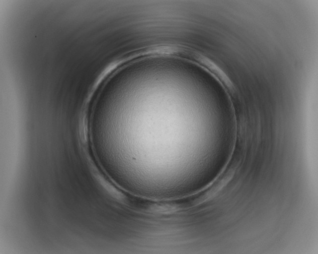 X0000115731083200911191407