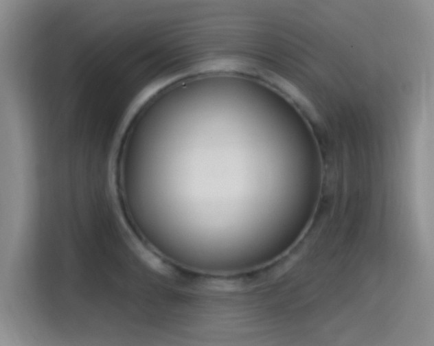 X0000115731086200911191407