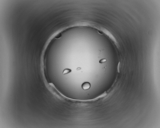 X0000115731088200911191407