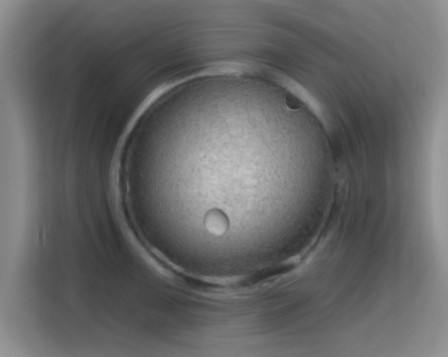 X0000115731091200911191407