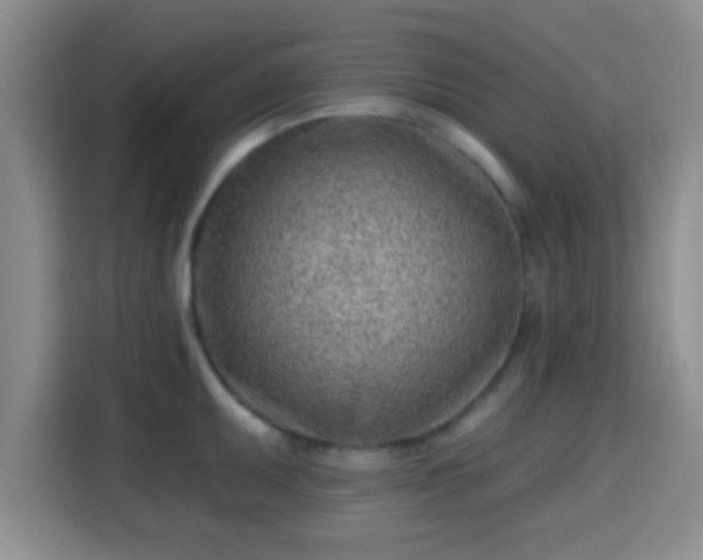 X0000115731095200911191407