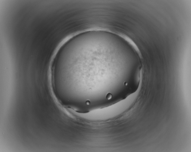 X0000115731096200911191407