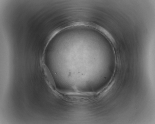 X0000115731097200911191407