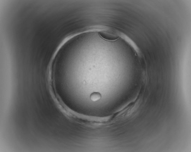 X0000115731099200911191407