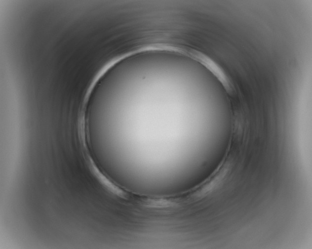 X0000115731100200911191407