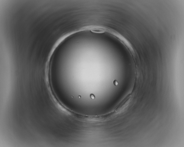 X0000115731102200911191407