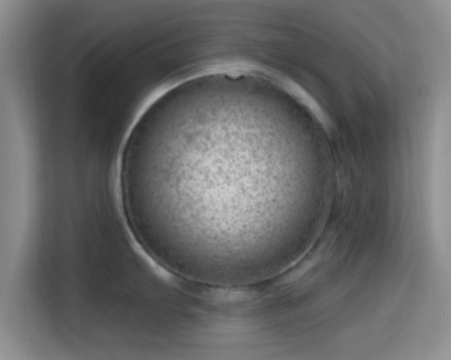 X0000115731103200911191407