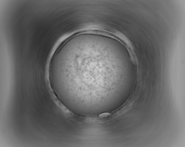 X0000115731104200911191407