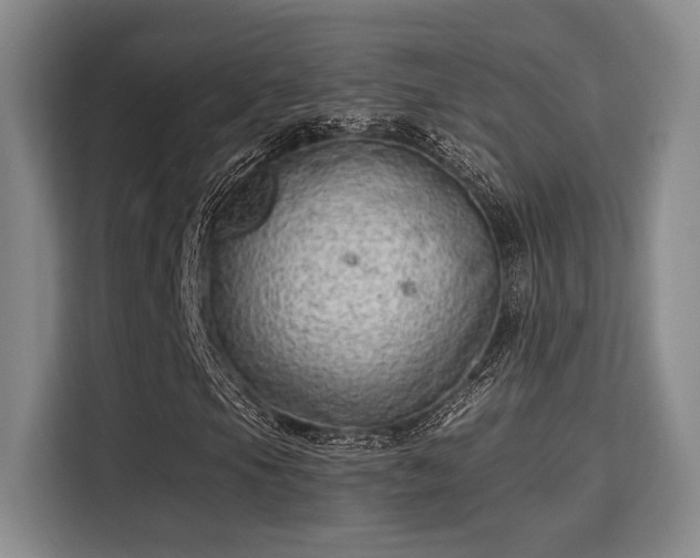 X0000115731105200911191406