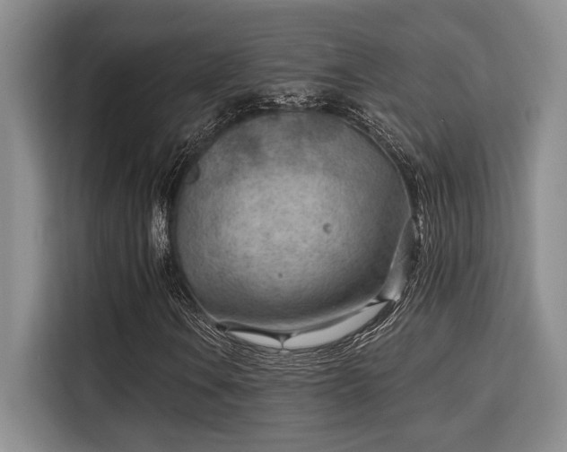 X0000115731106200911191406