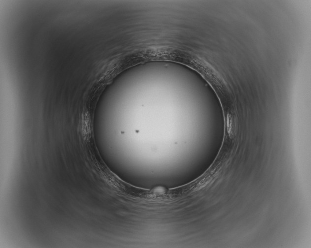 X0000115731107200911191406