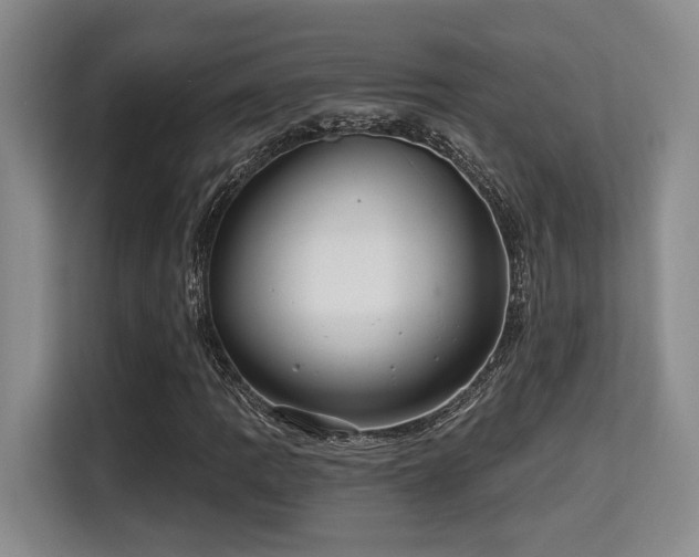 X0000115731109200911191406