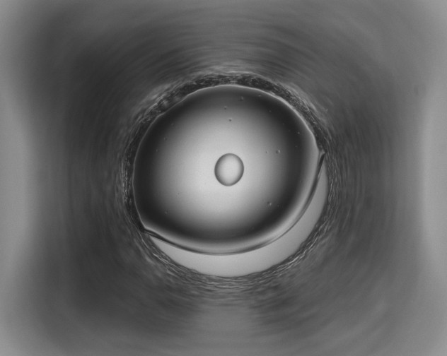 X0000115731110200911191406