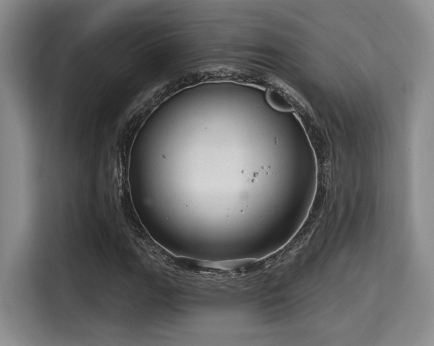 X0000115731111200911191406