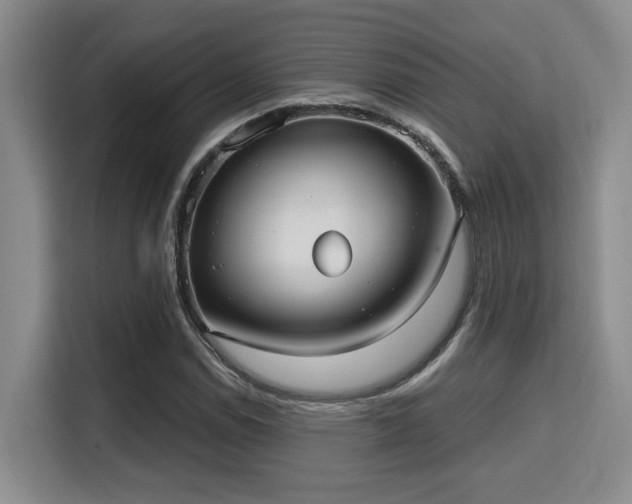 X0000115731114200911191406