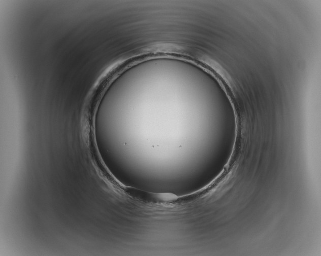 X0000115731115200911191406