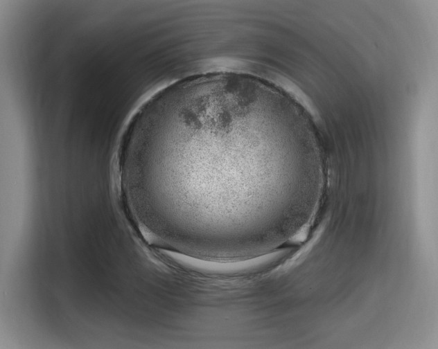 X0000115731117200911191406