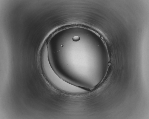 X0000115731118200911191406