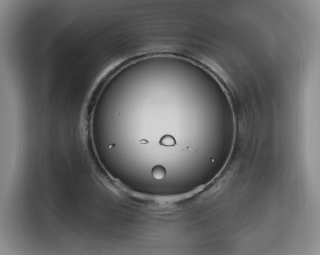 X0000115731119200911191407