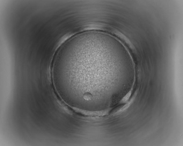 X0000115731121200911191407