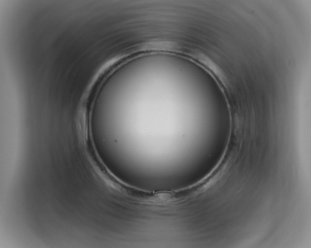 X0000115731123200911191407