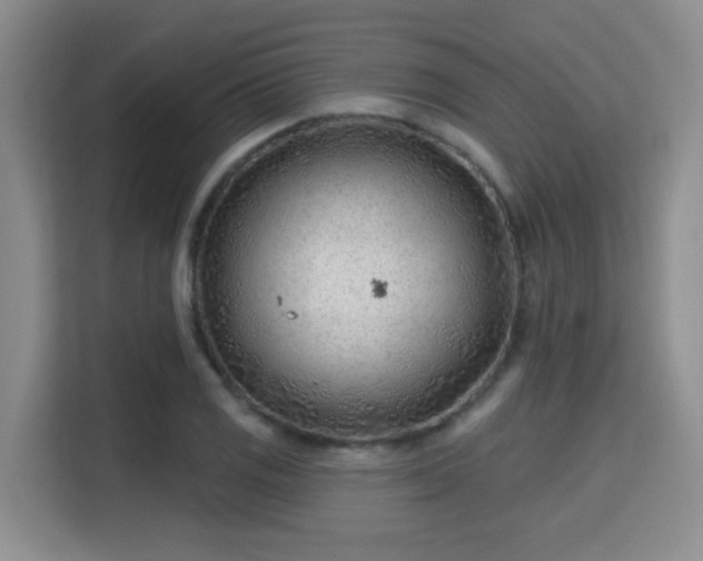 X0000115731125200911191407