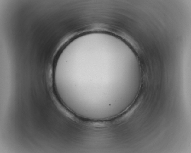 X0000115731126200911191407