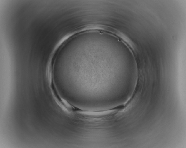 X0000115731127200911191407