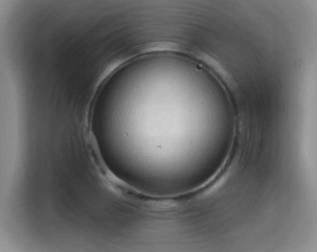 X0000115731129200911191407