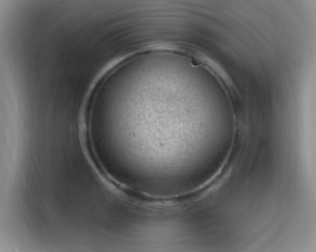 X0000115731133200911191407