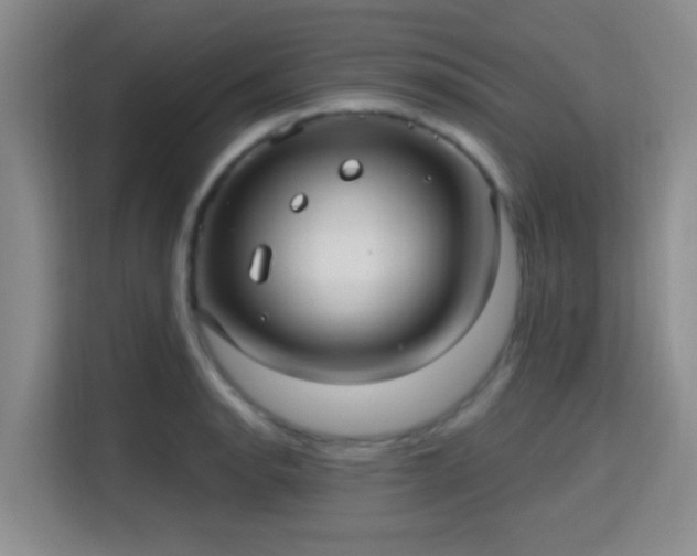 X0000115731134200911191407