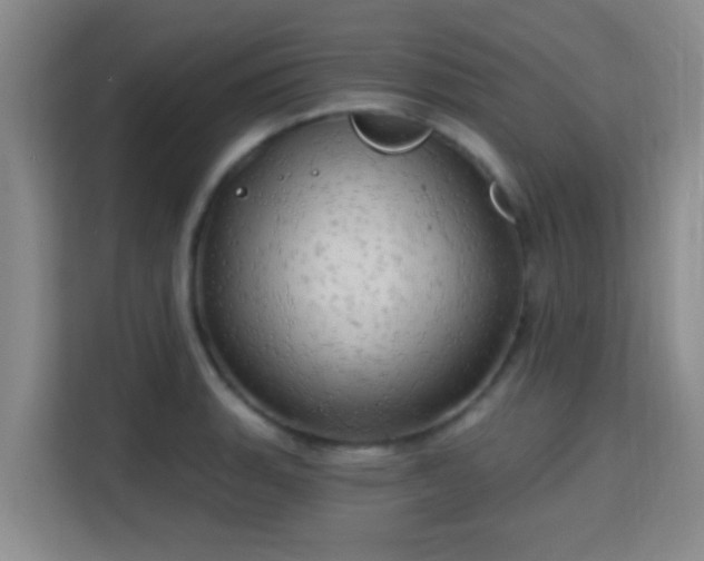 X0000115731135200911191407