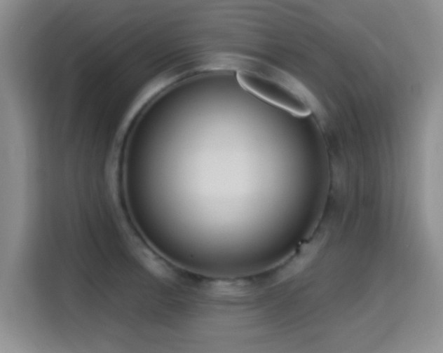 X0000115731138200911191407