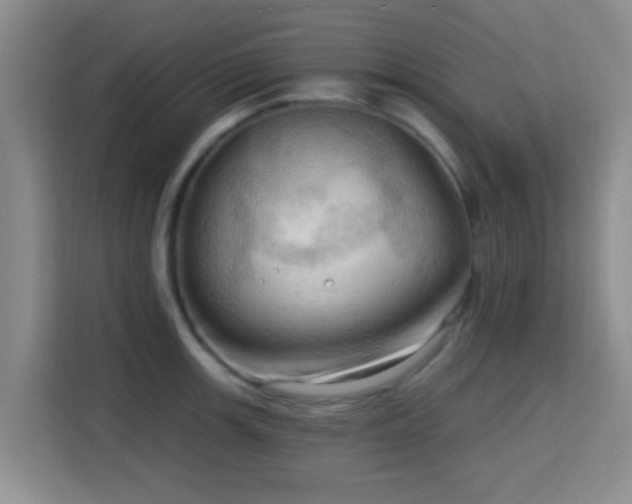 X0000115731139200911191407