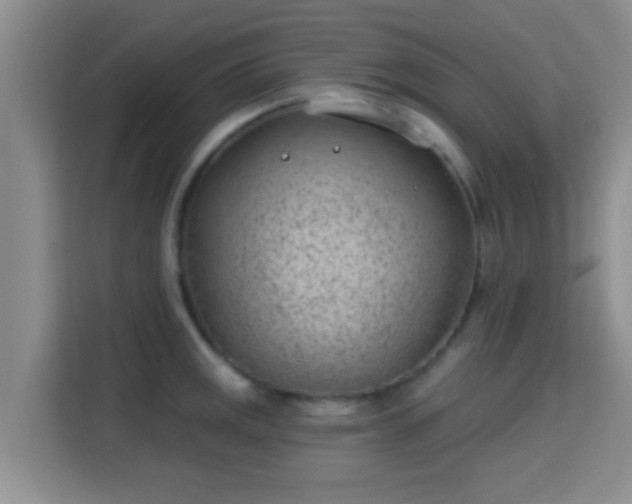 X0000115731141200911191407