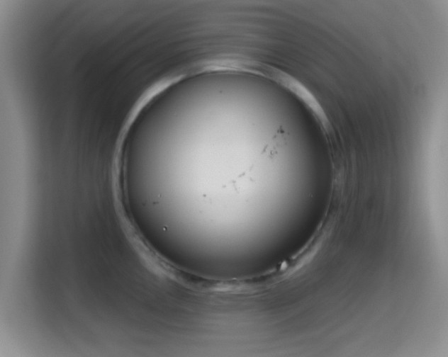 X0000115731146200911191407