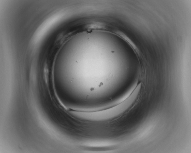 X0000115731151200911191407