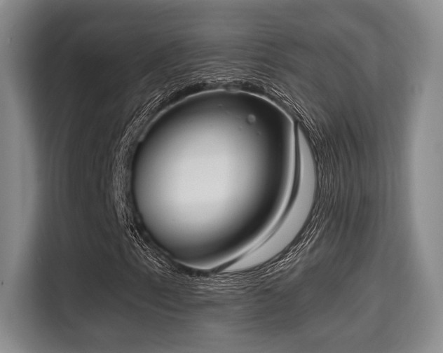 X0000115731153200911191406