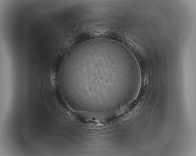 X0000115731156200911191406