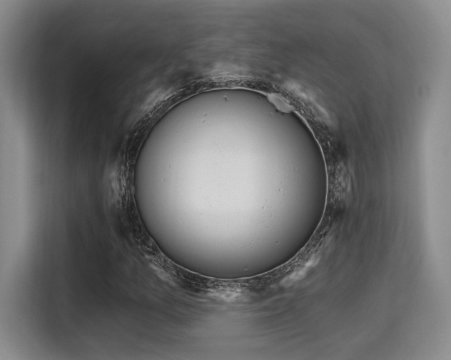 X0000115731157200911191406