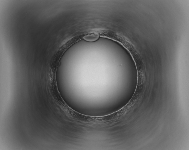 X0000115731158200911191406