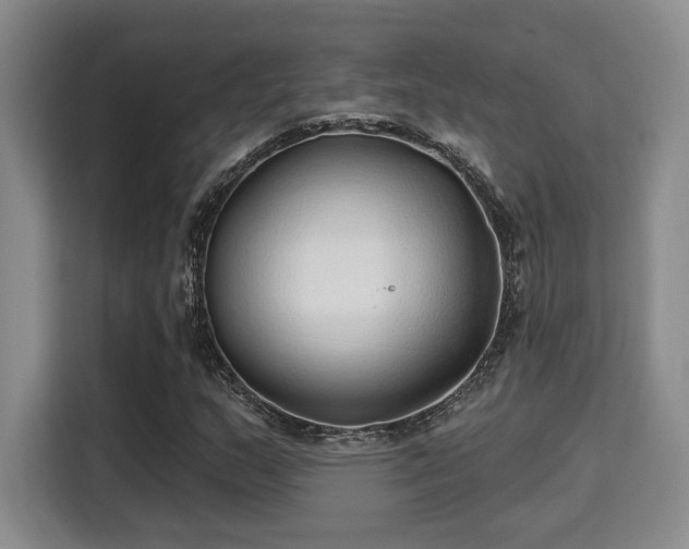 X0000115731159200911191406