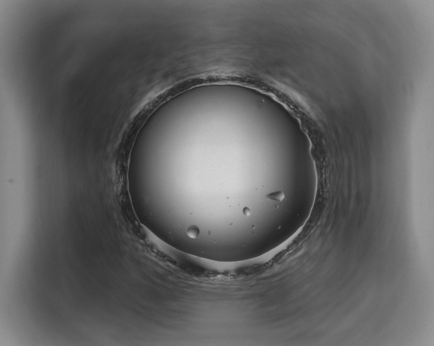 X0000115731160200911191406