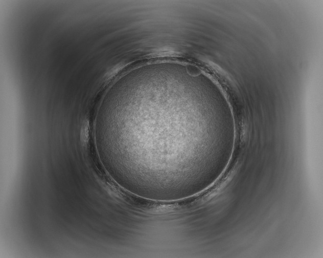 X0000115731161200911191406