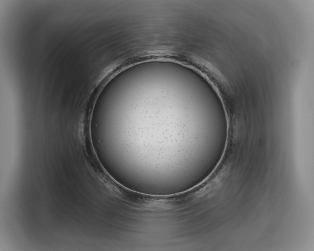 X0000115731162200911191406