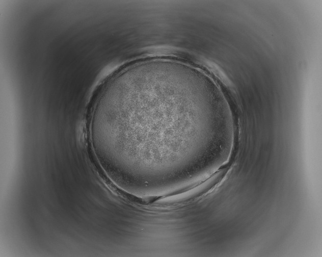 X0000115731164200911191406