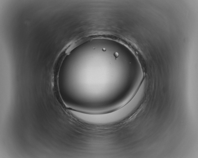 X0000115731165200911191406