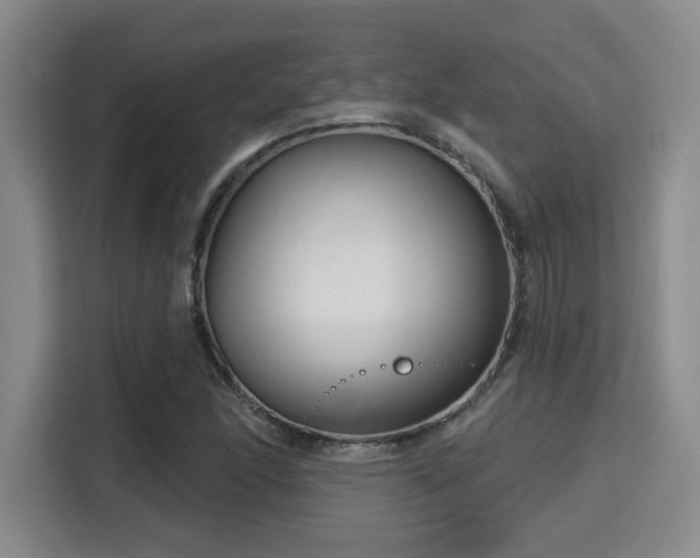 X0000115731166200911191406