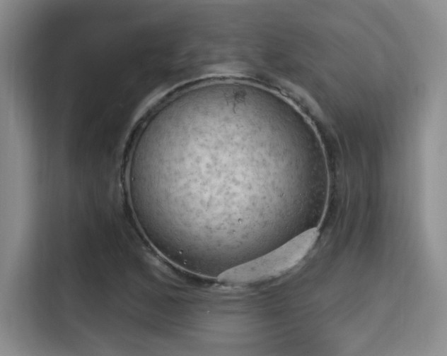 X0000115731168200911191406